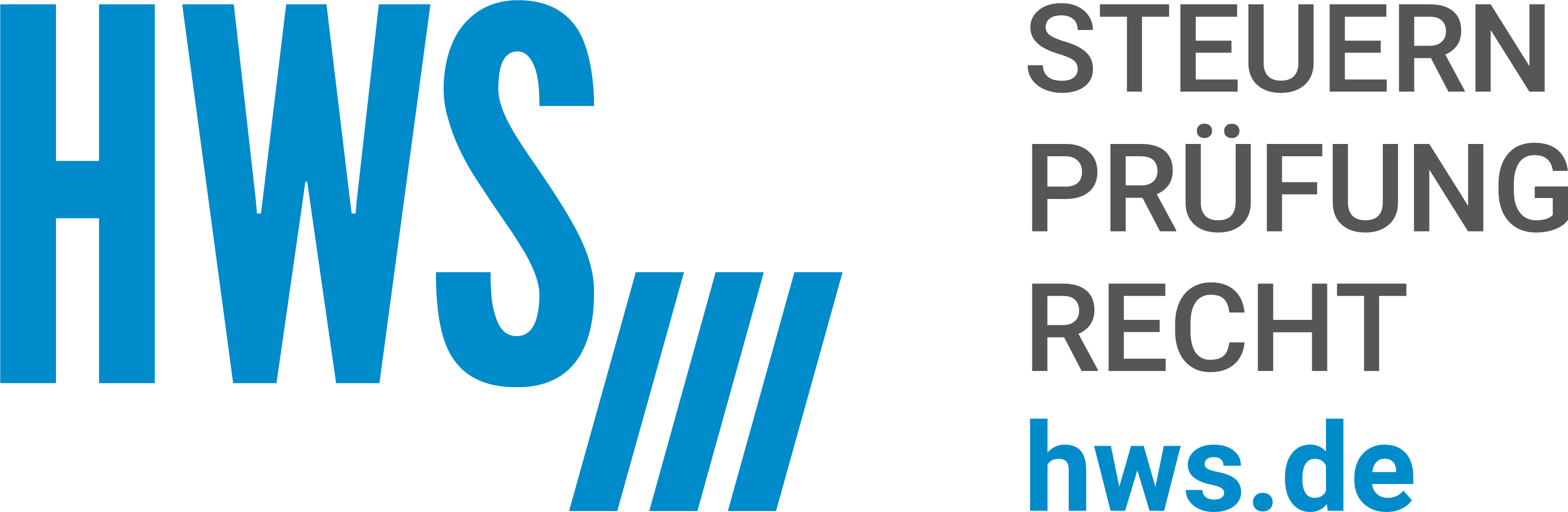 HWS Steuern Prüfung Recht Steuerberater Wirtschaftsprüfer logo